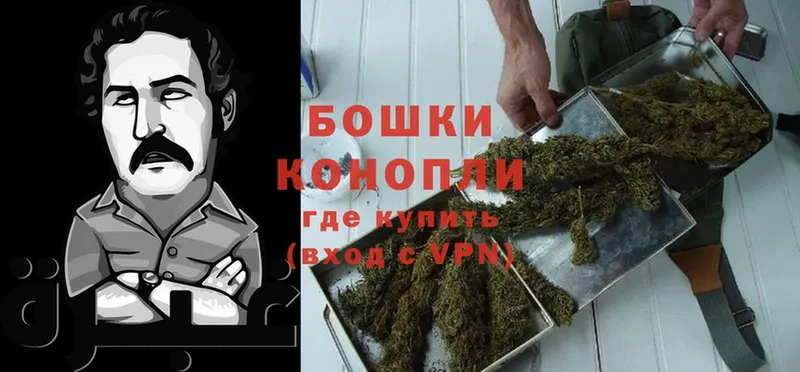 Конопля LSD WEED  даркнет сайт  Курильск 